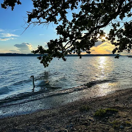 Апартаменты Bodensee