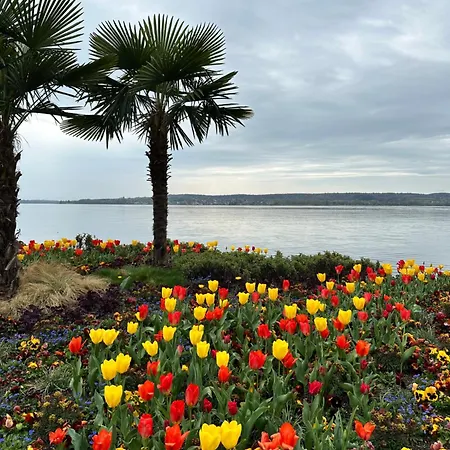 Апартаменты Bodensee
