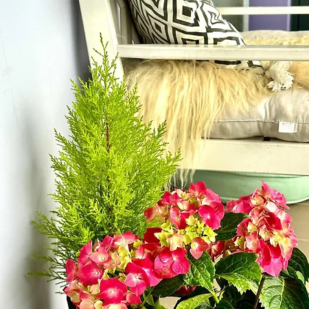 Bodensee Ульдинген-Мюльхофен