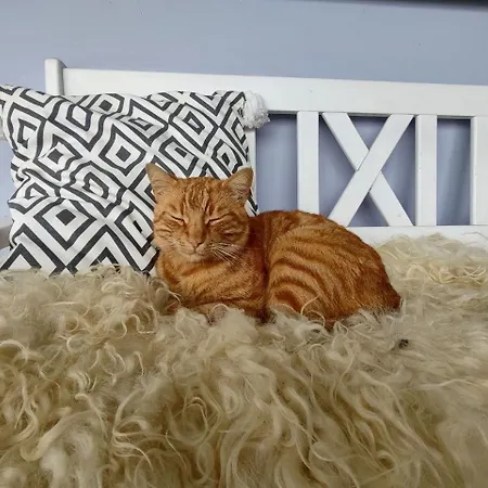 Апартаменты Bodensee