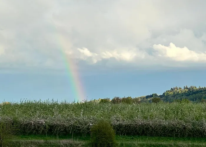 アパート Bodensee