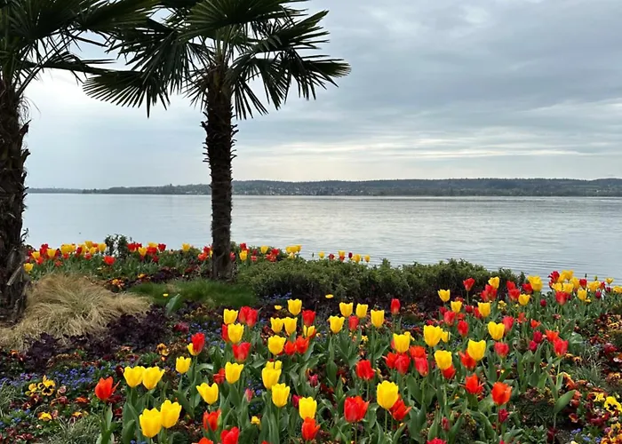 アパート Bodensee